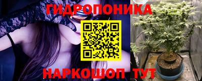 скорость Канаш