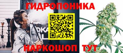 хмурый Кандалакша