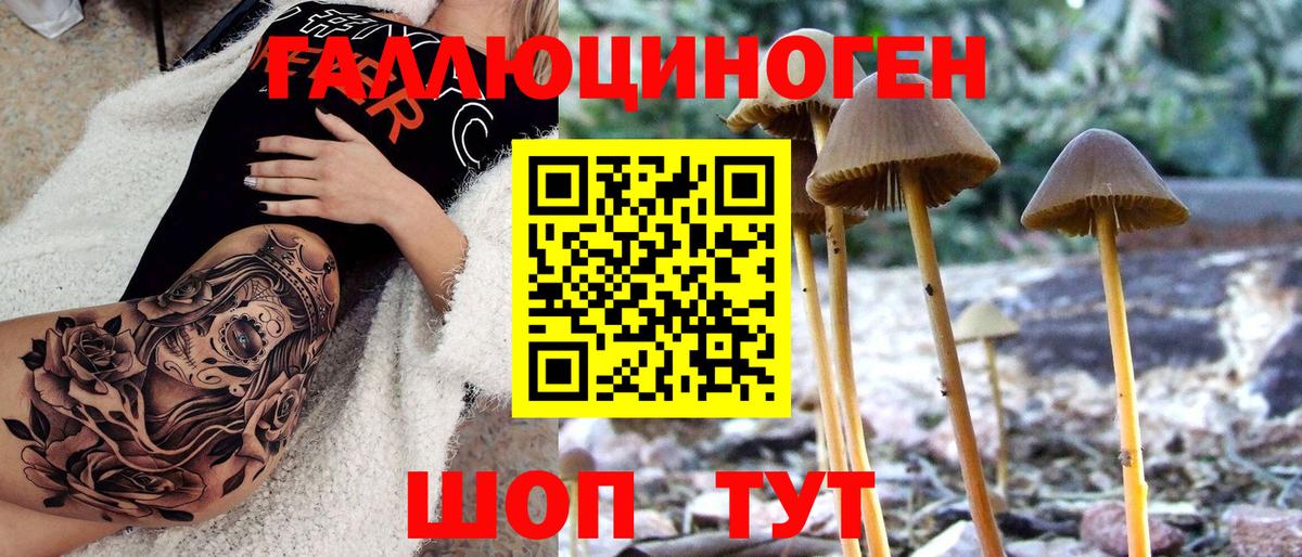 Псилоцибиновые грибы прущие грибы Шатура