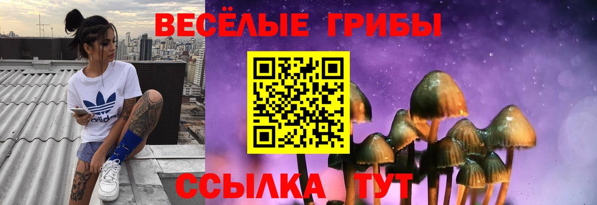 Галлюциногенные грибы Cubensis  Вход с VPN  Шатура 